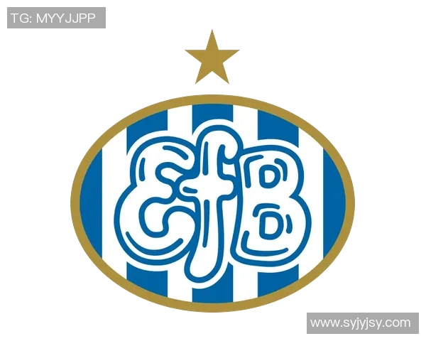 艾里斯足球的崛起与发展：探索新兴球队的未来潜力与挑战