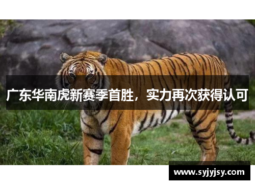 广东华南虎新赛季首胜，实力再次获得认可