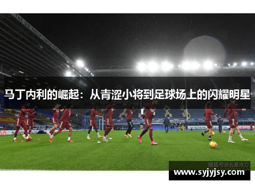 马丁内利的崛起：从青涩小将到足球场上的闪耀明星